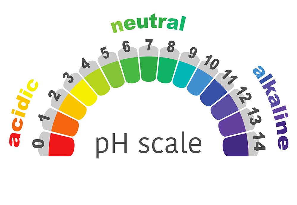 Right pH Level in Drinking Water – How Essential?